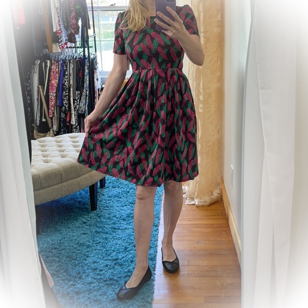 💕NWT Pink & Green Feathers Lularoe Amelia Dress Fit & Flare with pockets💕
